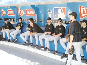 Tampa Bay Devil Rays in Dugout