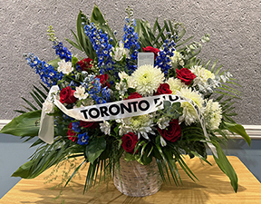 Canadian Baseball News